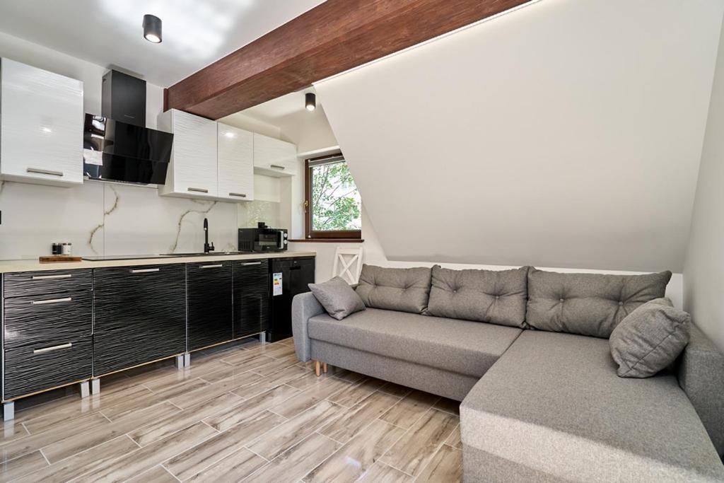 Apartamenty U Kamila Закопане Екстер'єр фото